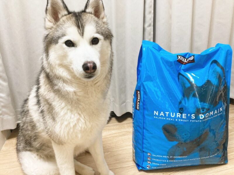 コストコのKIRKLAND SIGNATURE ネイチャーズドメイン サーモン・ポテト 成犬用 グレインフリー

