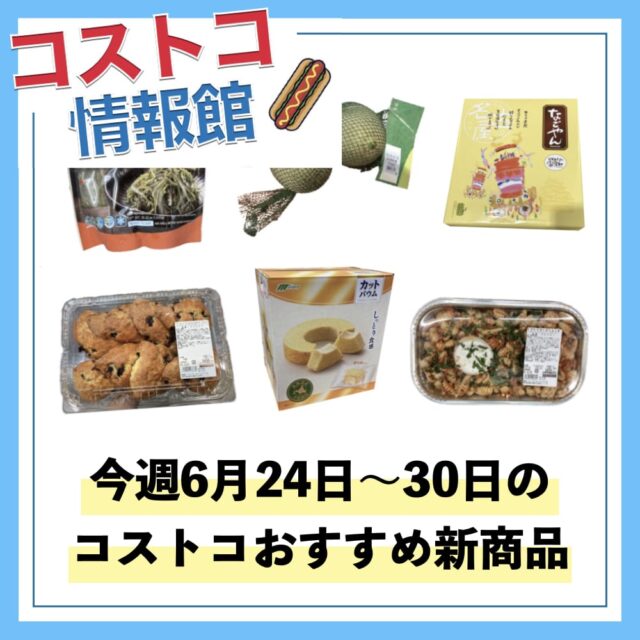 【コストコ】今週6月24日〜6月30日のおすすめ新商品10選と割引商品