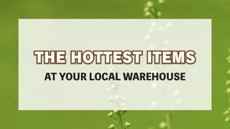 コストコ最新の割引クーポン情報「MORE SAVINGS AT YOUR LOCAL WAREHOUSE」