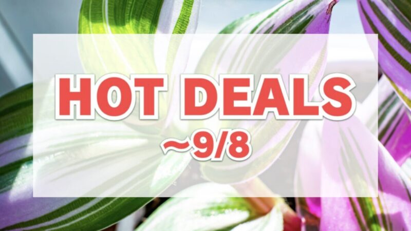 HOT DEALS（注目のコストコオンライン商品）9月8日まで