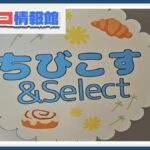 コストコ再販店のちびこす&Select