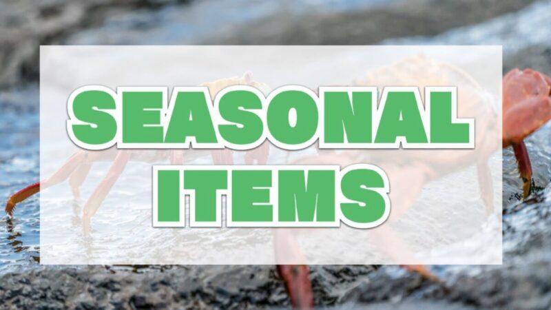 SEASONAL ITEMS（コストコの季節限定商品）