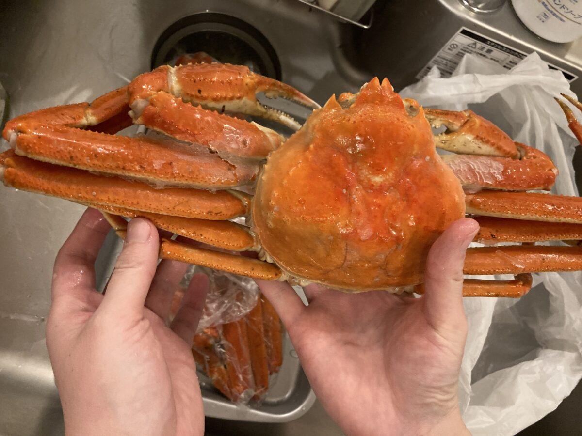 コストコの【3】お正月限定のカニ・伊勢海老・数の子