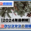 【2024年最新】コストコのクリスマス期間中の混雑状況を徹底紹介！