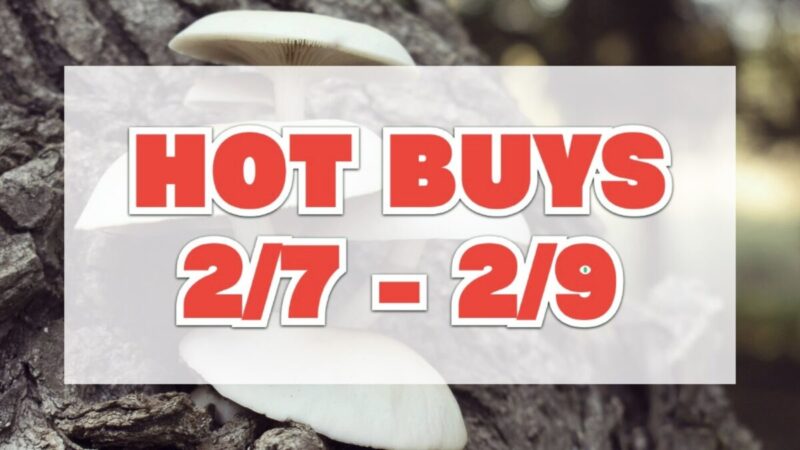 HOT BUYS（今週注目のコストコ割引商品）2月7日〜2月9日