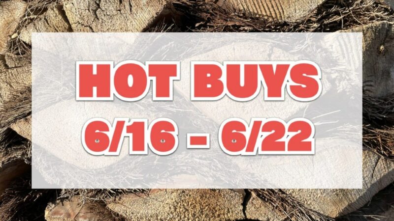 HOT BUYS(今週注目のコストコ割引商品)6月16日〜6月22日
