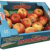 コストコのニュージーランド産FRESHCOブリーズりんご