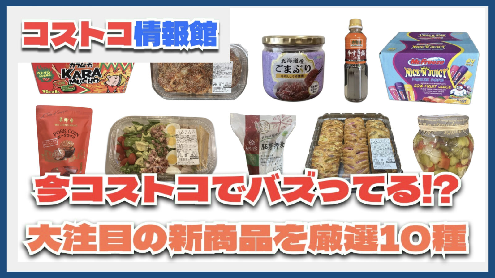 【#コストコ】お買い得!?最近発売されたばかりの大注目商品10選Part22