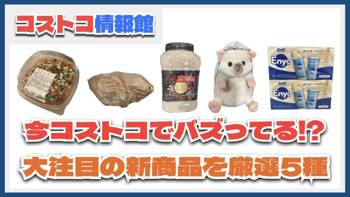 【#コストコ】お買い得!?最近発売されたばかりの大注目商品5選Part23