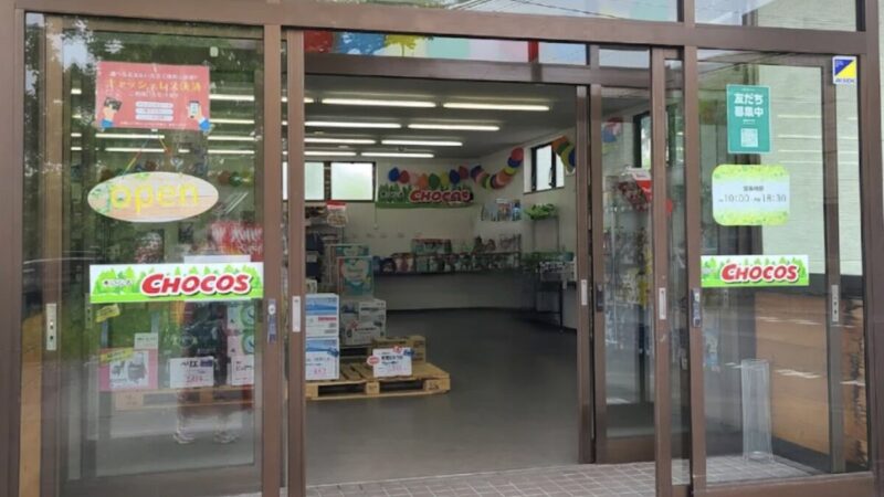 【コストコ再販店の基礎知識】CHOCOSチョコス(木になる)とは?