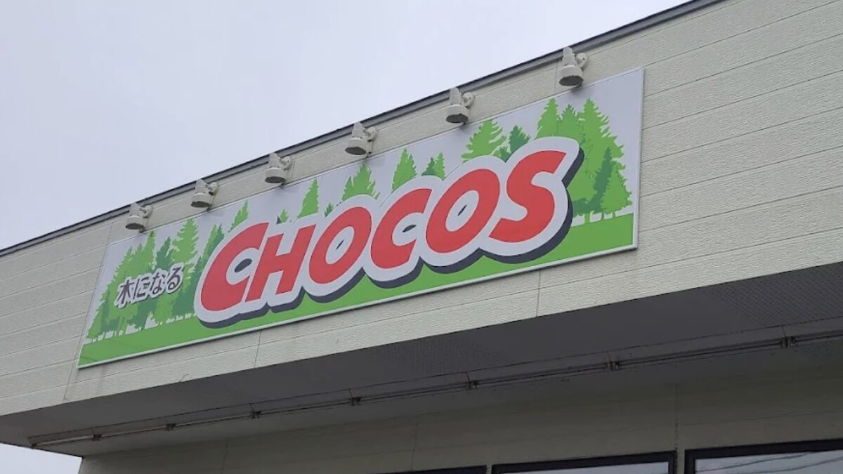 【コストコ再販店】木になるCHOCOSチョコス｜北海道苫小牧市
