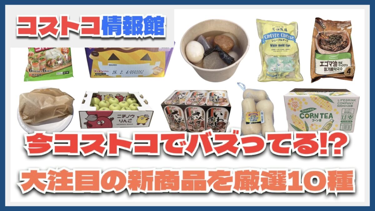 【#コストコ】お買い得!?最近発売されたばかりの大注目商品10選Part29