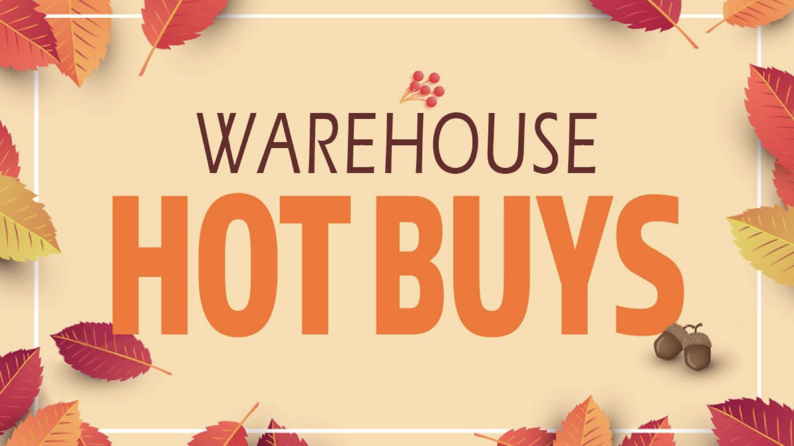 通常会員も対象のコストコ割引クーポン(2025年11月7日〜)