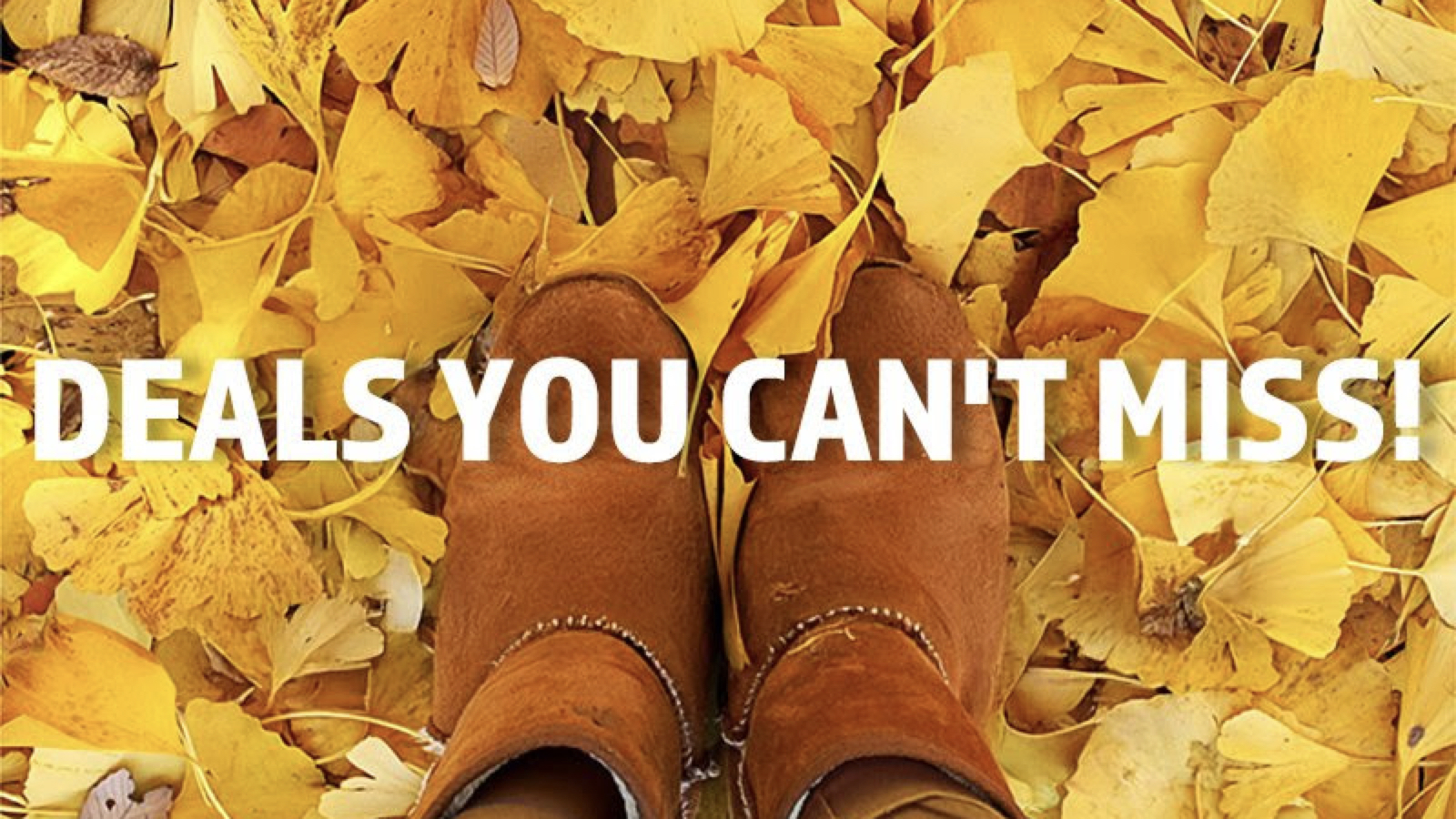 【コストコ】最新メルマガ割引クーポン！11月7日〜対象のセール商品一覧