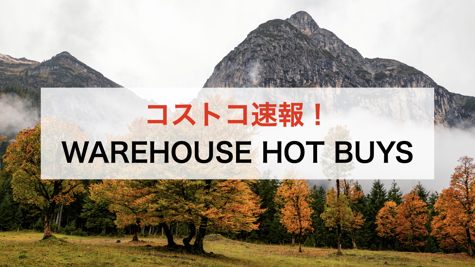 【コストコ】最新メルマガ割引クーポン！11月10日〜対象のセール商品一覧