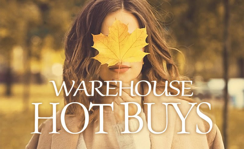 2025年11月19日（水）今日のコストコ割引商品一覧