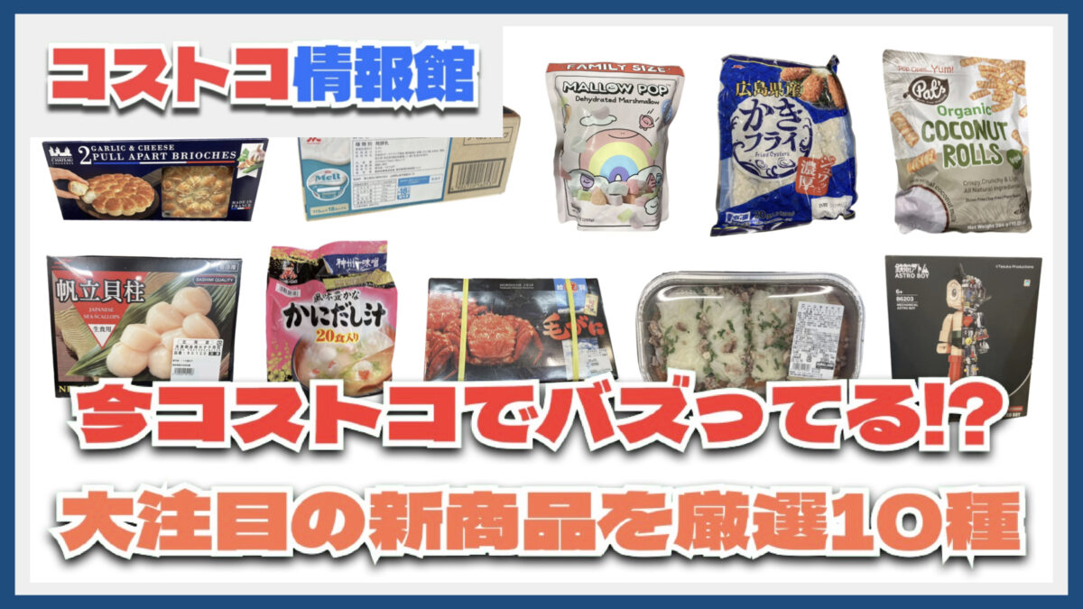 【#コストコ】お買い得!?最近発売されたばかりの大注目商品10選Part36