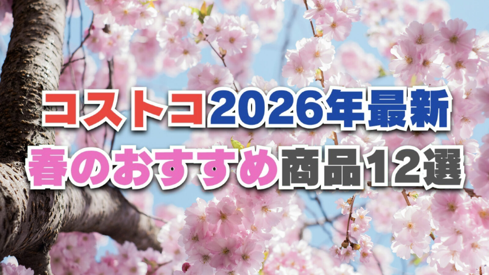 【2026年最新】今年の春に食べたいコストコおすすめ新商品12選！