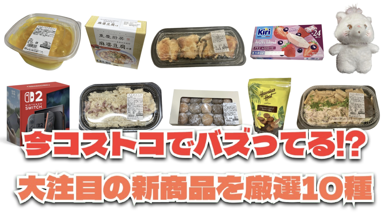 【コストコ】今バズっている注目の新作おすすめ商品10選！#Part47