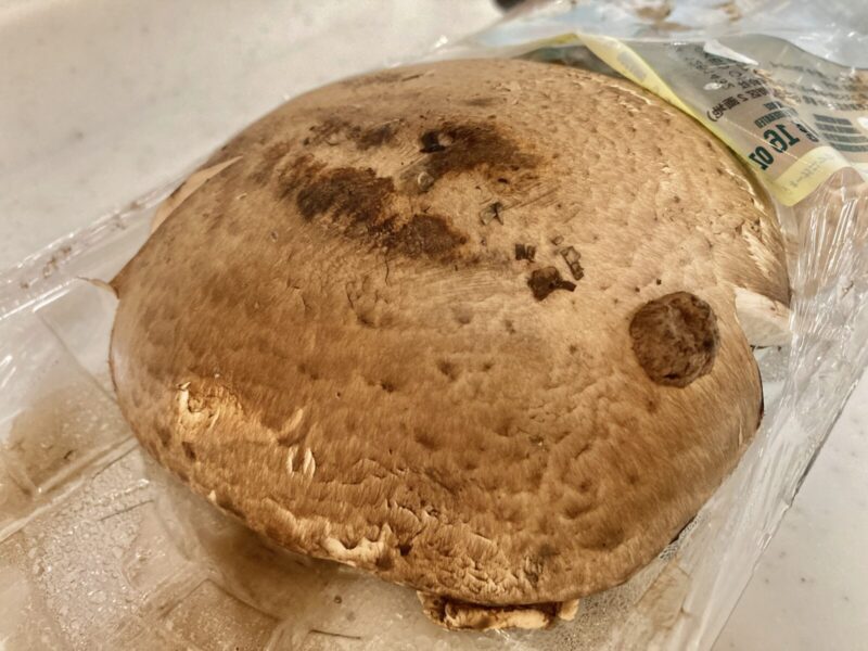 コストコ新商品のオーガニック ポータベラマッシュルームを調理して実食！