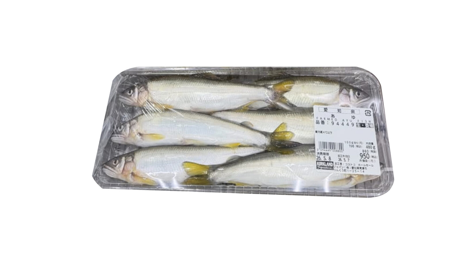 【2026年最新】コストコに鮎が新発売！愛知県産あゆが安くておすすめ