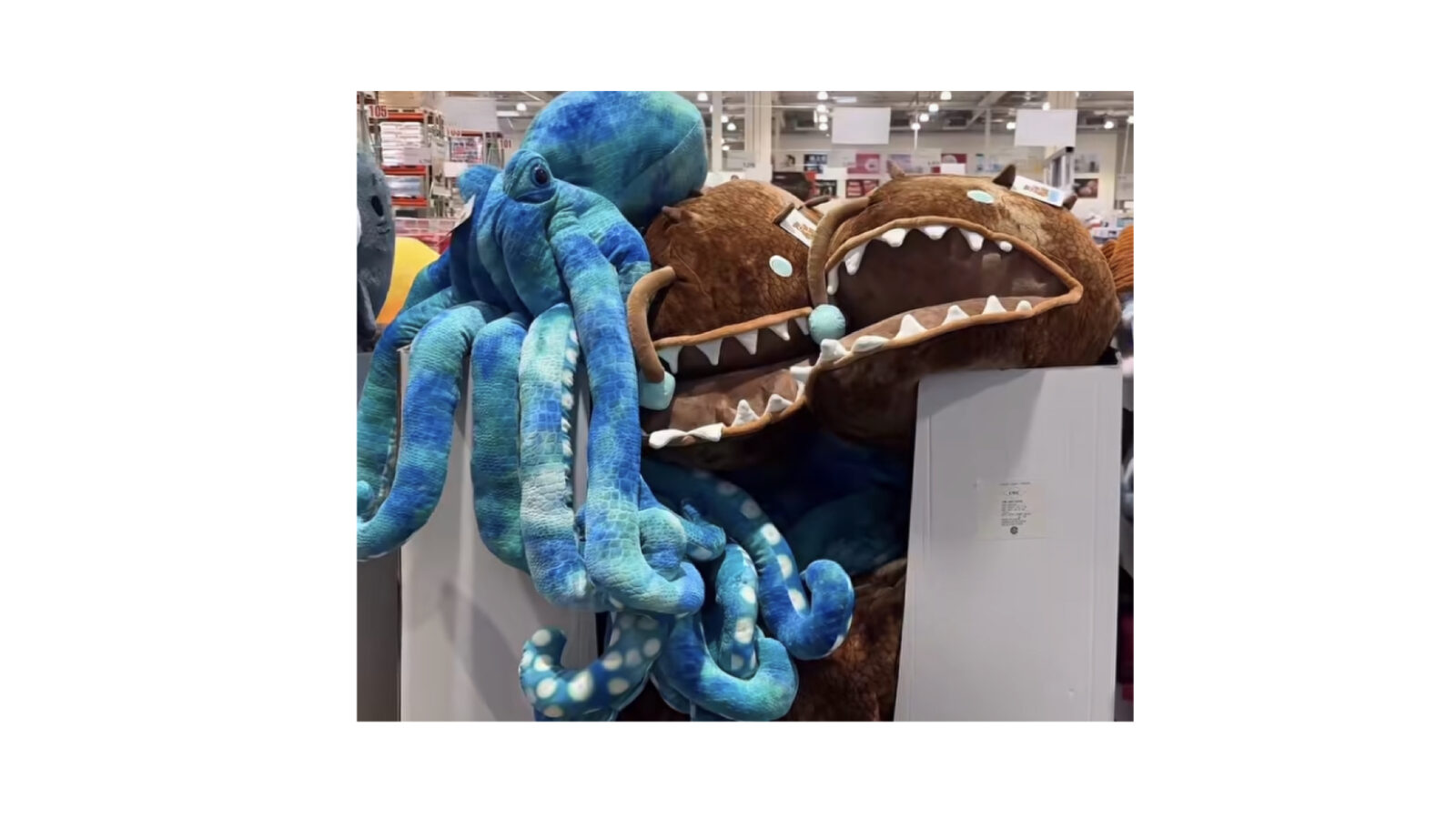 【超巨大！】今話題になっているコストコ新商品のゴーファ海の生き物ぬいぐるみ
