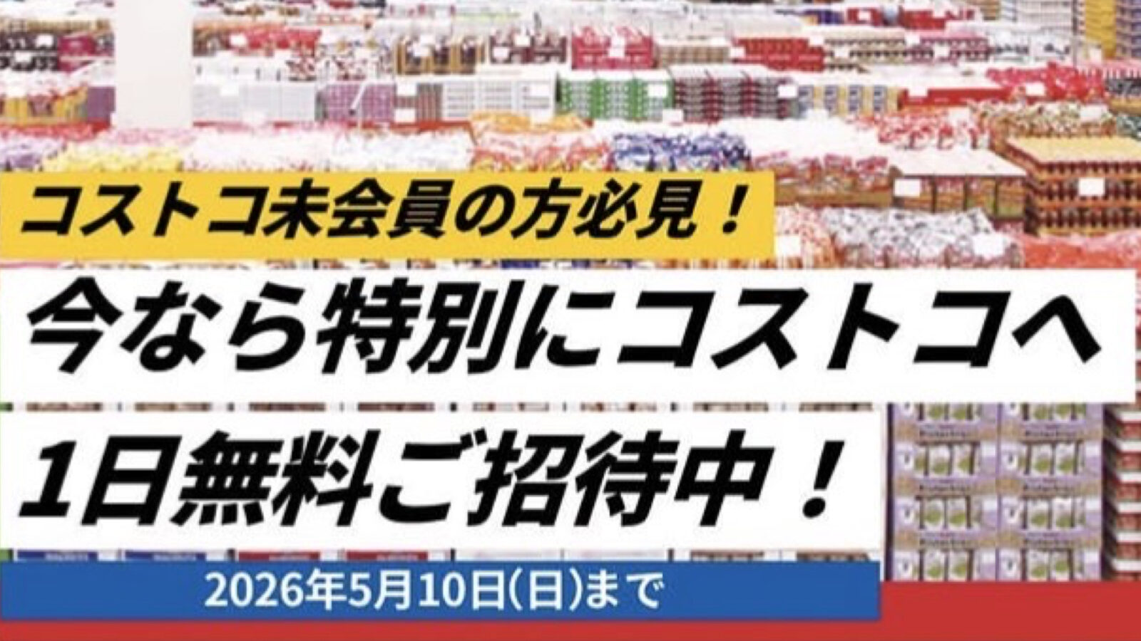 【ゴールデンウィーク】未会員もコストコに無料で入れる！GW限定の特別特典が激アツ