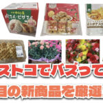 【コストコ】今バズっている注目の新作おすすめ商品10選！#Part53