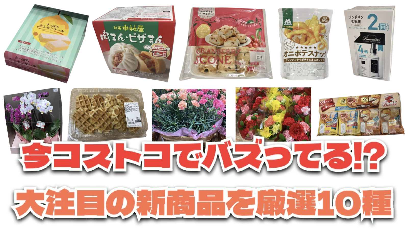 【コストコ】今バズっている注目の新作おすすめ商品10選！#Part53