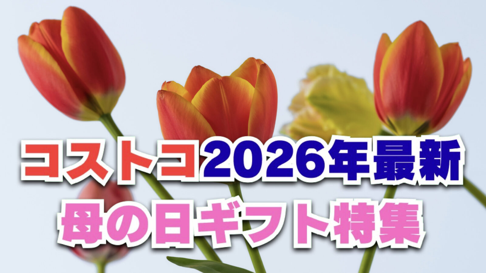 【2026年最新】コストコのフラワーギフト特集！母の日のプレゼントにおすすめ！
