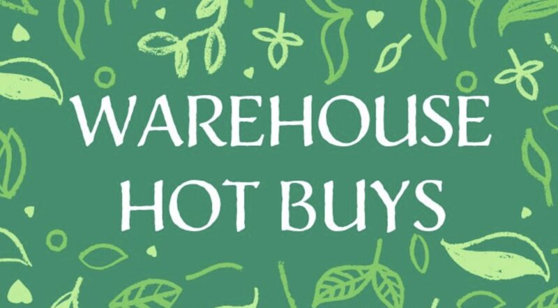 コストコ最新の割引クーポン情報「WAREHOUSE HOT BUYS」