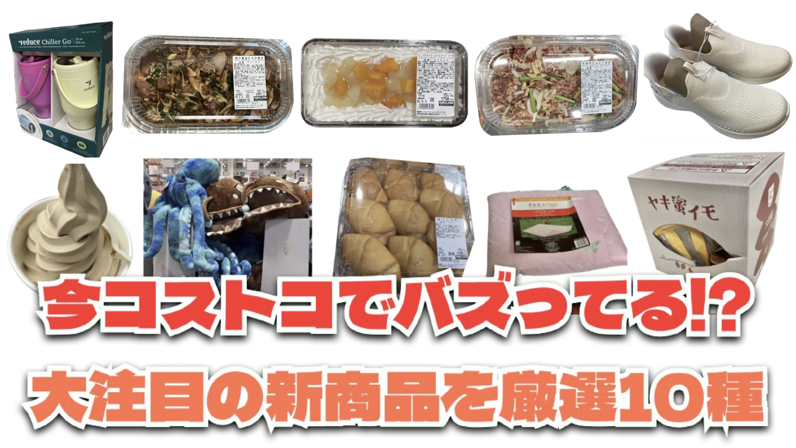 【コストコ】今バズっている注目の新作おすすめ商品10選！#Part55