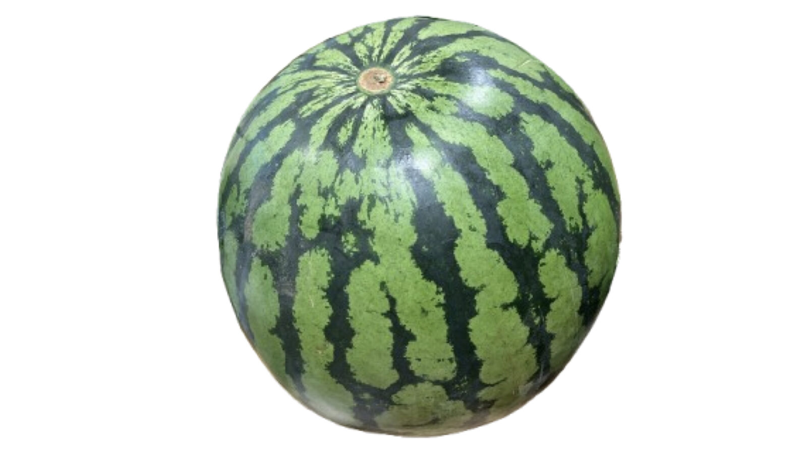 【2026年6月のコストコ新商品】国産すいか1玉を実食レビュー！大玉で甘い夏の定番フルーツ
