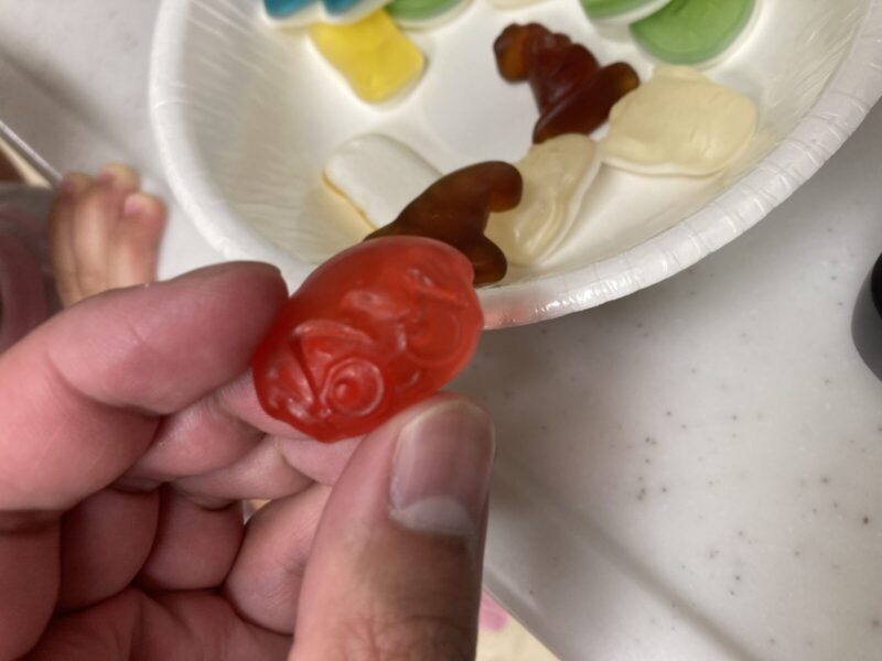 【2026年7月】コストコ話題の新作お菓子ハリボーハリーポッターボックスを実食レビュー