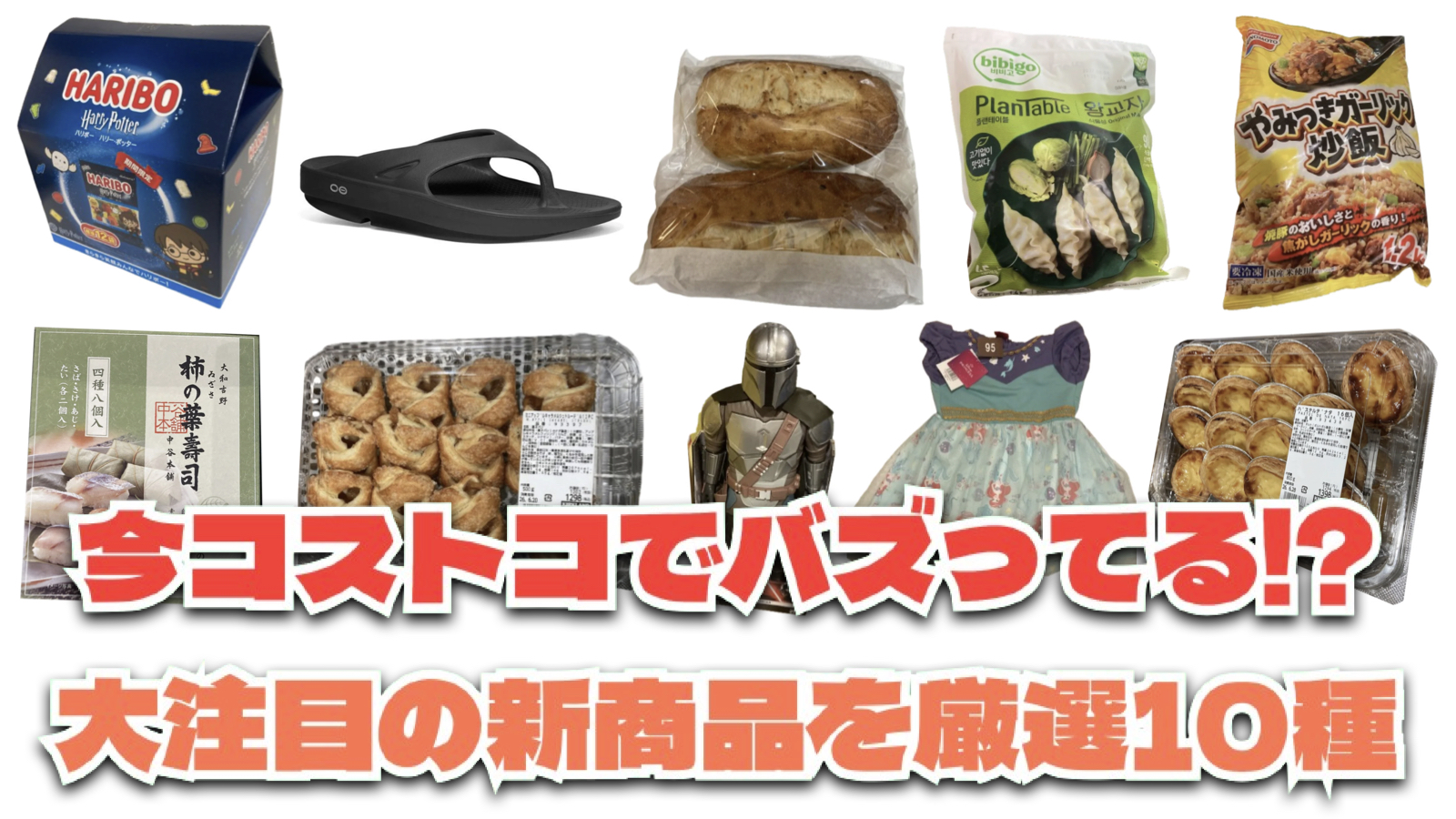 【コストコ】今バズっている注目の新作おすすめ商品10選！#Part60