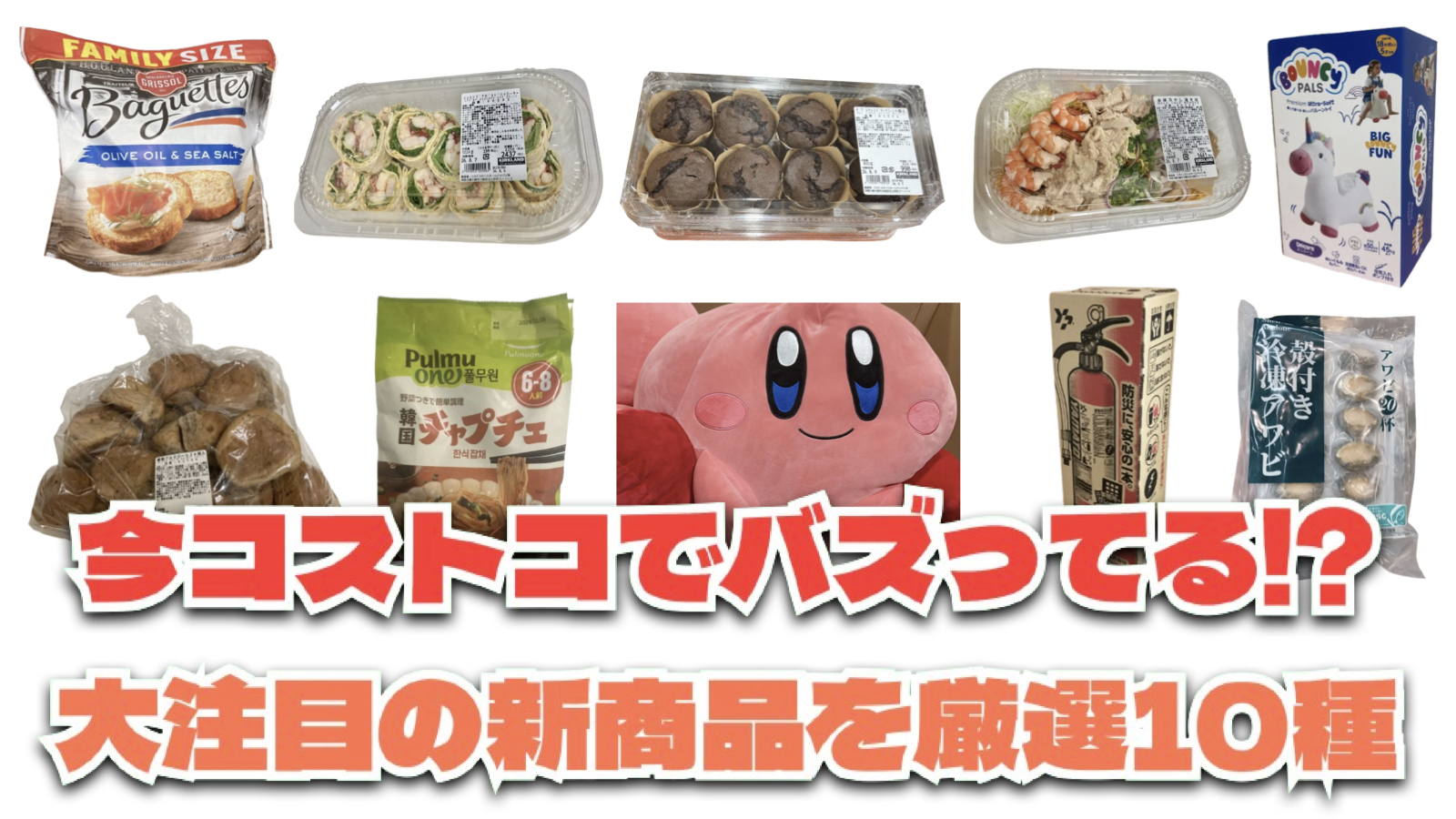 【コストコ】今バズっている注目の新作おすすめ商品10選！#Part65