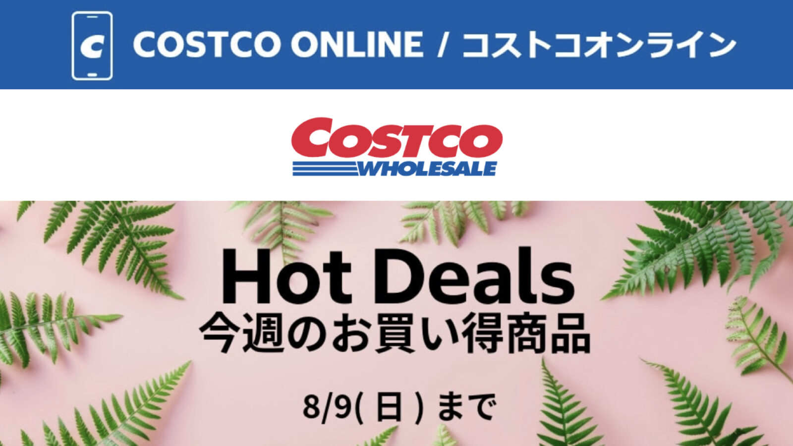 コストコオンライン限定の割引クーポン！2026年8月5日〜のお買い得商品一覧