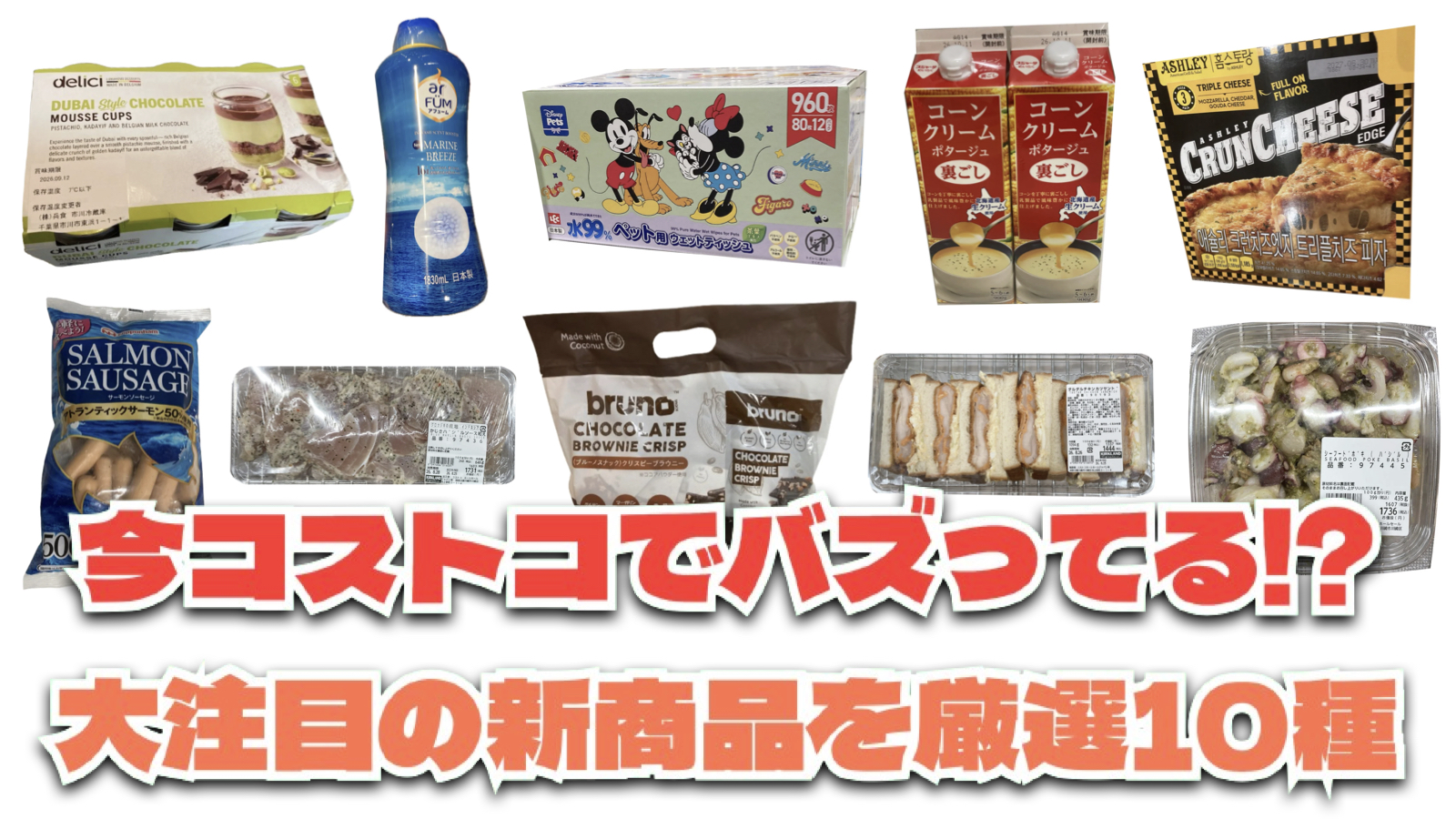 【コストコ】今バズっている注目の新作おすすめ商品10選！#Part69