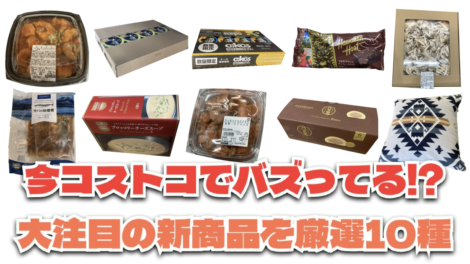 【コストコ】今バズっている注目の新作おすすめ商品10選！#Part71