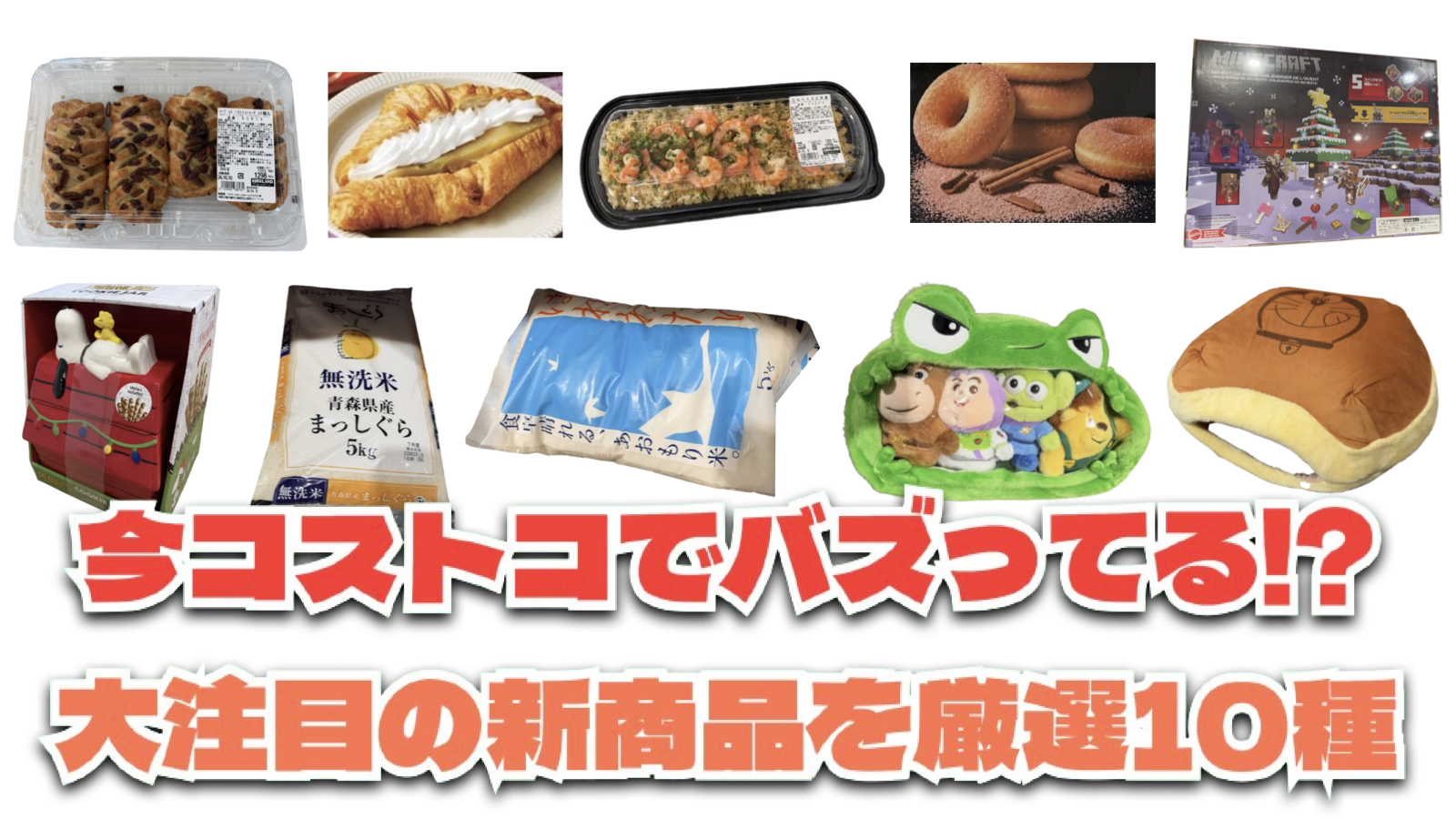 【コストコ】今バズっている注目の新作おすすめ商品10選！#Part74