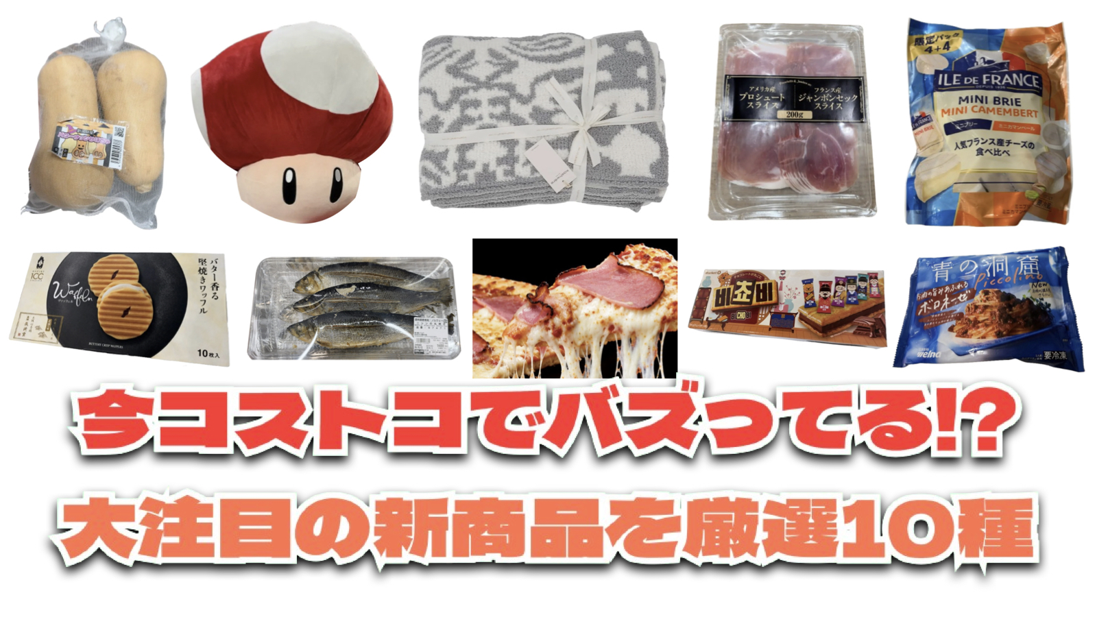 【コストコ】今バズっている注目の新作おすすめ商品10選！#Part75